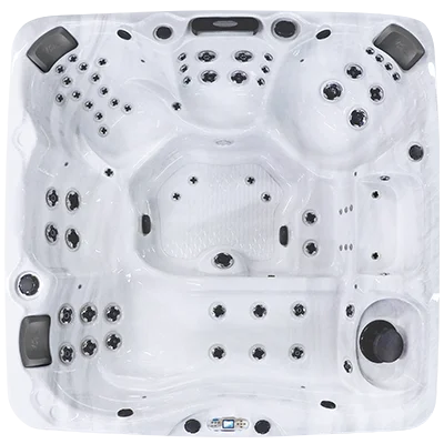 Avalon EC-867L hot tubs for sale in Bryan