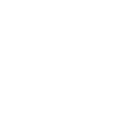 ce logo Bryan